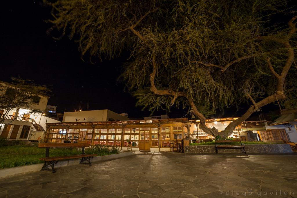 Hotel El Huarango Ica Ngoại thất bức ảnh