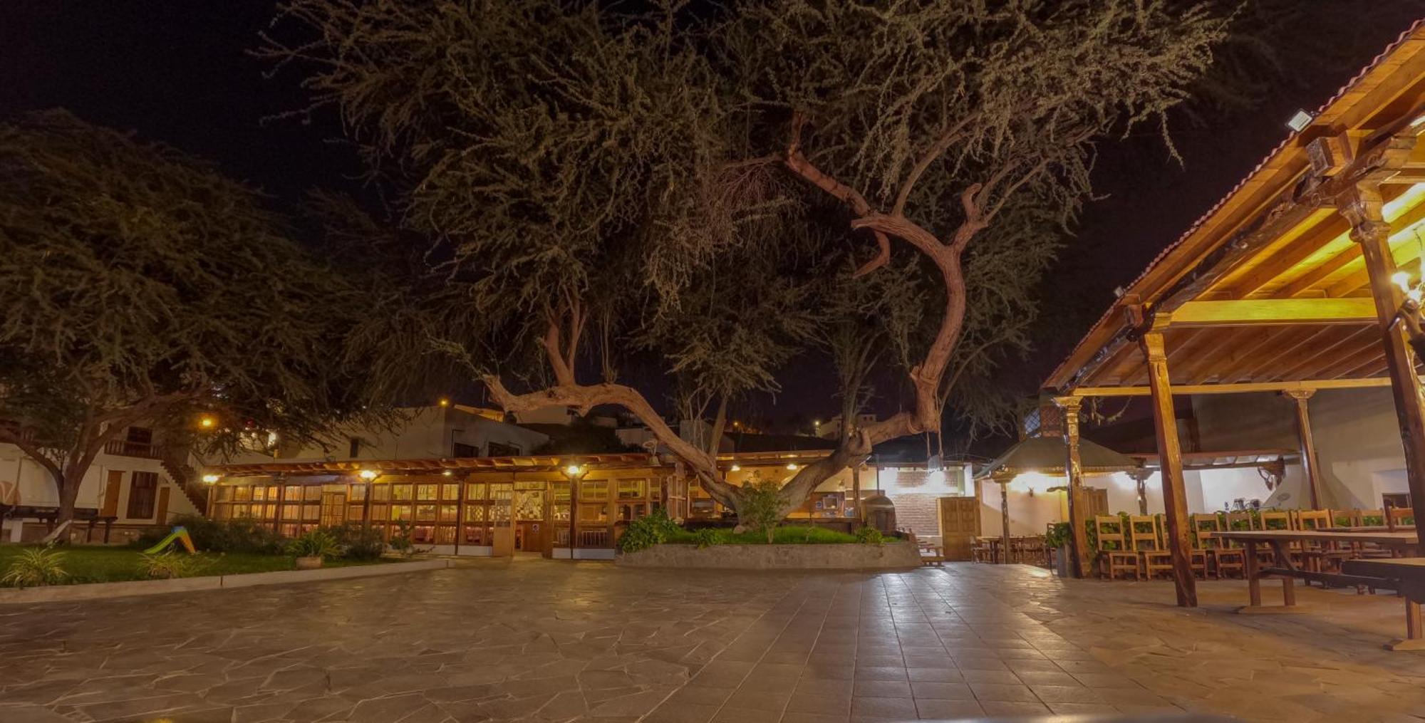 Hotel El Huarango Ica Ngoại thất bức ảnh