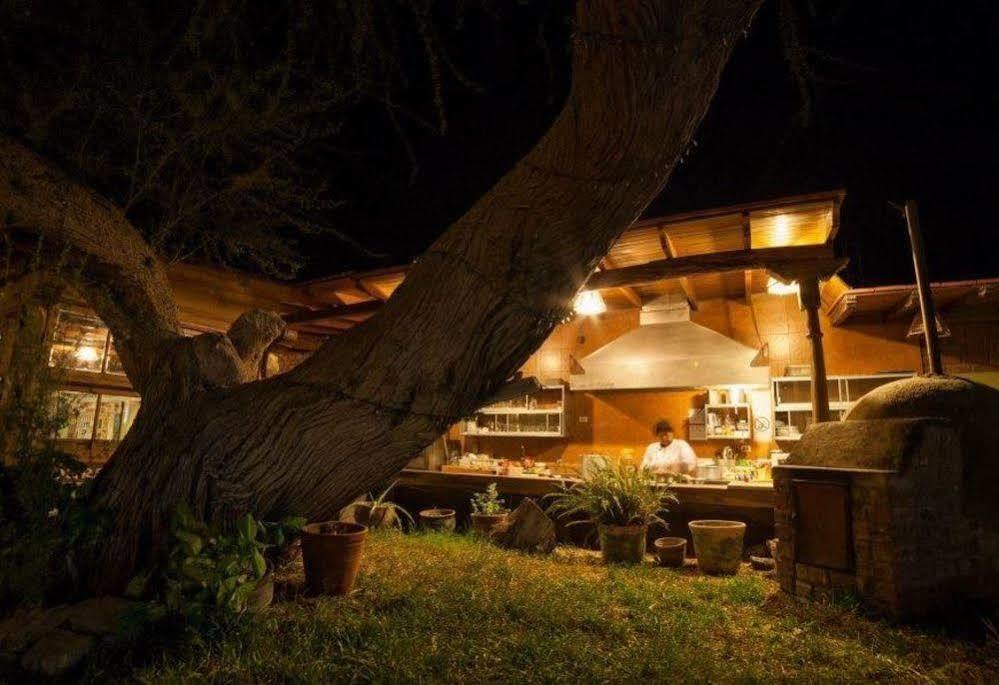 Hotel El Huarango Ica Ngoại thất bức ảnh